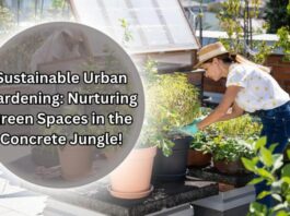Sustainable Urban Gardening: Nurturing Green Spaces in the Concrete Jungle!