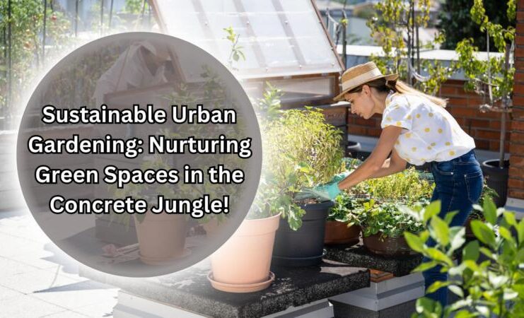 Sustainable Urban Gardening: Nurturing Green Spaces in the Concrete Jungle!